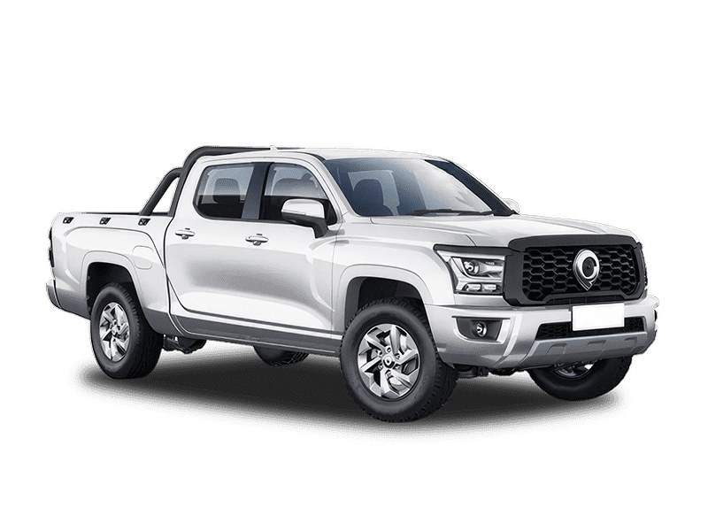 Great Wall Poer King Kong